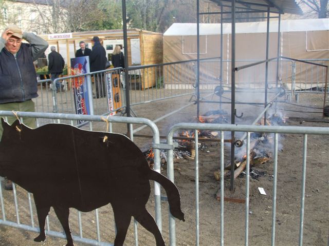 TéletonDecembre 2009. 005.jpg